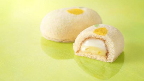 春日要 fresh 啲！