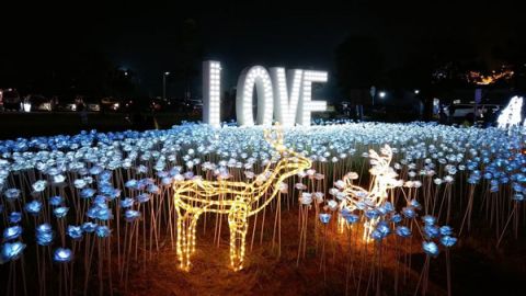 首屆屏東綵燈節 3 大精彩 check-in 位！