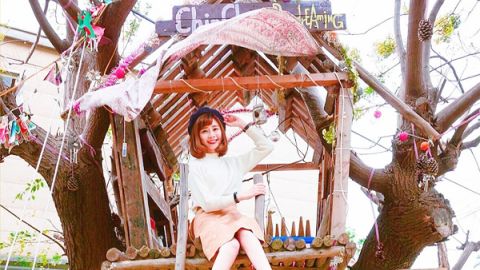 童夢成真！ 台公園小樹屋