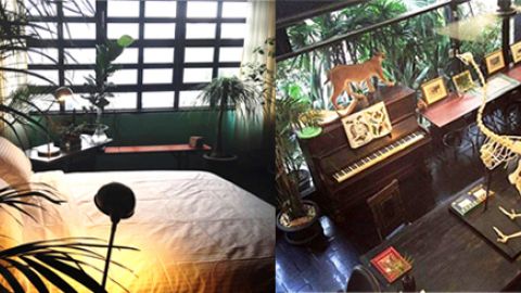 與猛獸零距離　曼谷叢林 feel民宿