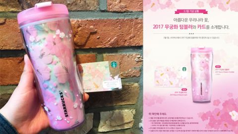 韓國 starbucks 推國花 Tumbler
