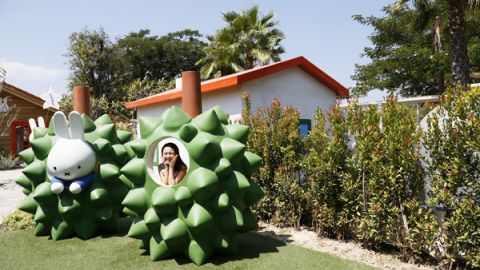 唔使飛荷蘭 最新華欣 Miffy Garden