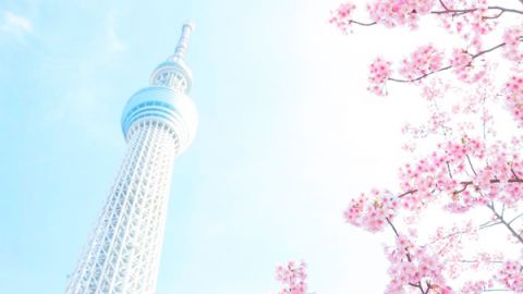 Skytree 櫻花美食祭 絕讚粉紅美食勁靚
