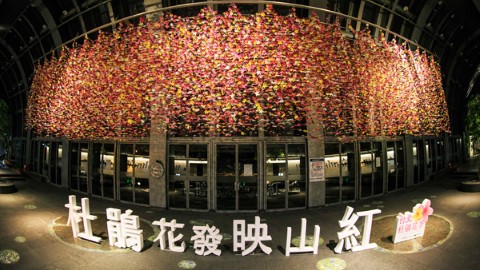 限定花海靚景 捷運呃 like 打卡位