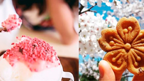靚爆！5 大必食韓國櫻花小食