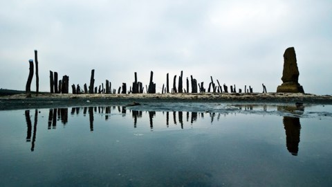 台中最新打卡地標 彰化夢幻漂流木陣