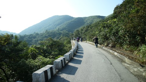 【#山林。道】3 大城市行山路線 2 小時極速完成