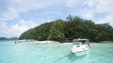 【#潛水靚景】平歎玻璃海！ 一生人必去一次－－帛琉