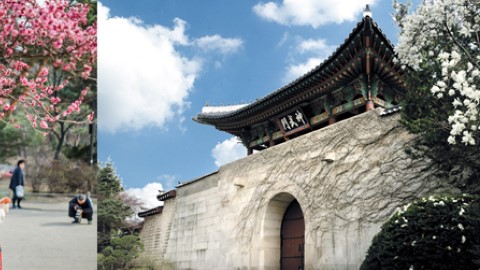 韓服 IS 免費 PASS 租著韓服慳入場費