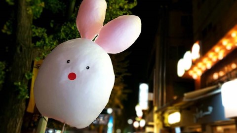 一人一枝兔仔棉花糖 首爾新打卡萬能 key