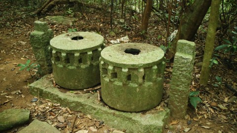 【#山林。道】行經大腦　 發思古之幽情【大腦古道】