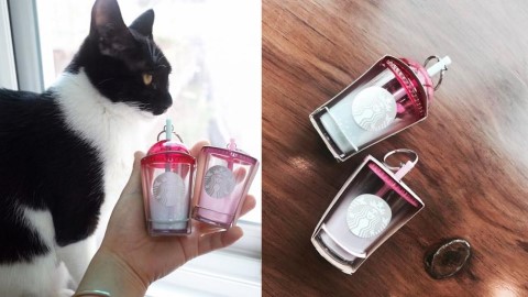 Cutie 星冰樂 韓國 Starbucks 出迷你匙扣
