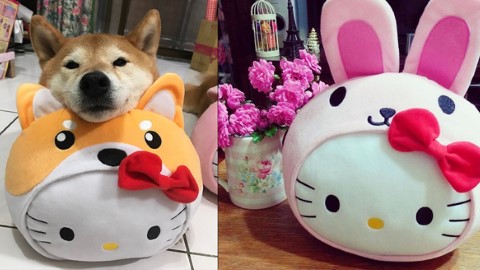 正式開賣！台灣麥記 X Hello Kitty 萌爆動物攬枕