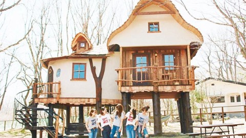 東京近郊  4 間特色樹屋宿一宵