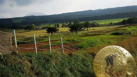 世界最長！ 韓國濟州人體草地滾球