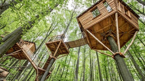 親親大自然！ 德國樹林藏樹屋酒店