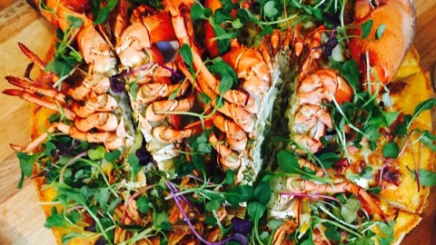 誇張！韓國濟州島 原隻龍蝦 Pizza