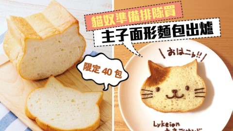 大阪限定超可愛貓咪面形麵包 一日只有 40 位買到！