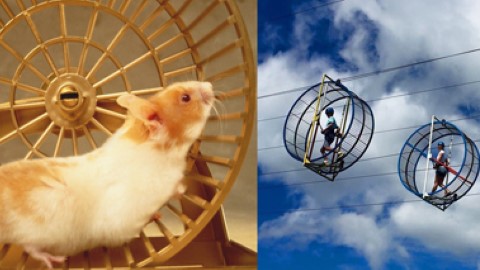 One and Only 菲律賓空中倉鼠滾輪