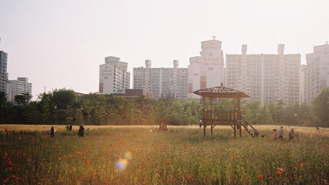 50 分鐘車程 首爾搭地鐵直達　去富川賞虞美人