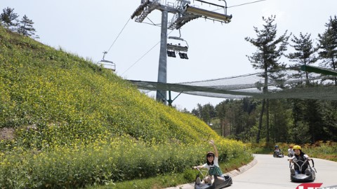記者直擊！ 韓國 新開斜道滑車 1.5 km 瀡住睇海景