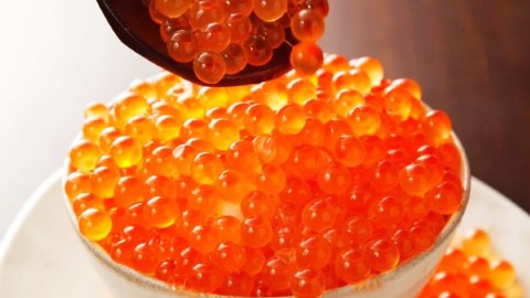 日本澀谷三文魚籽飯 多到滿瀉！性價比極高