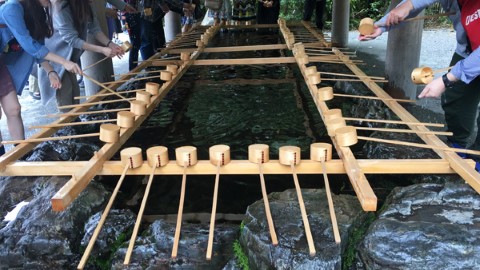 日本神社參拜教學 正確洗手與參拜方式