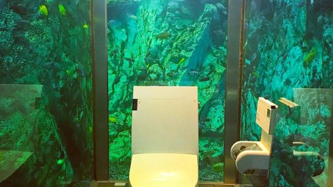由有魚睇到有 靚景 睇 全 日本 10 大奇趣 廁所
