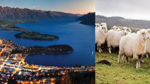 新西蘭帶食物入境限制多！ 超蓮「中蕉」被扣留+罰款