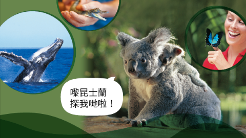 擁抱大自然魅力  遨遊澳洲昆士蘭動物天堂
