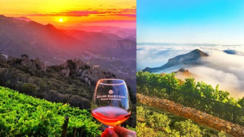 唔使長途跋涉！ 輕鬆歎紅酒睇雲海