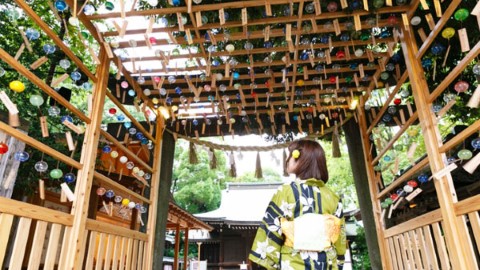 神社 夏日限定