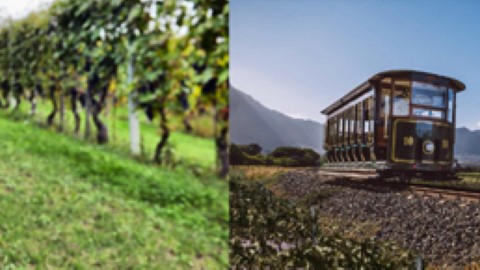 南非有乜做？ 坐紅酒列車遊酒莊　歎紅酒食好東西