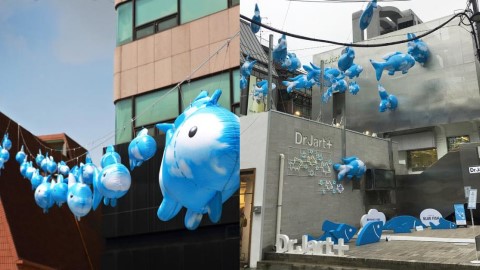 首爾 江南 半空 發現藍色魚群蹤影