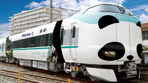 和歌山 萌爆 熊貓 火車 8 月有得坐！