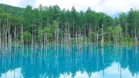 不再隱秘的絕景 日本網選 3 大必去神秘水池