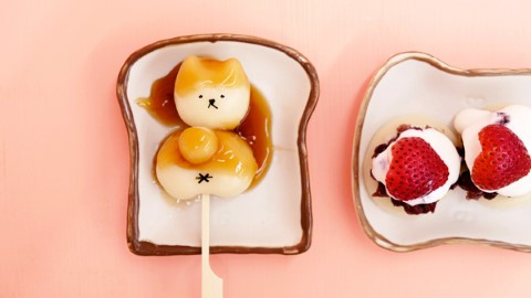 柴犬出沒！ 台灣桃園現少女粉紅 café