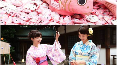 動物 造型 御神籤 日本 4 大萌  神社