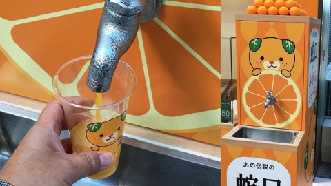 日本愛媛縣最新話題 水龍頭流出鮮甜蜜柑汁