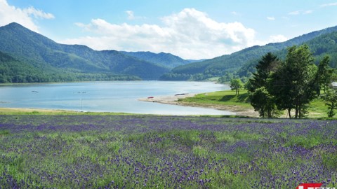 北海道新玩法！