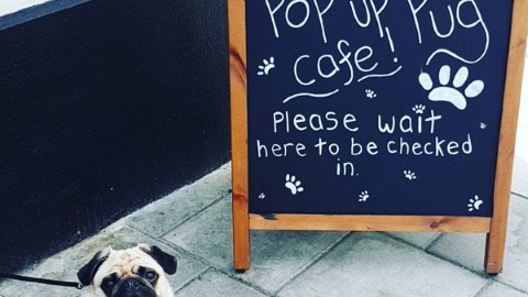 倫敦  pop up cafe 屬於八哥嘅天堂