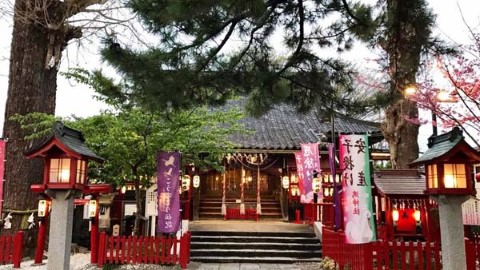 向爛桃花說再見 關東 十大斷絕惡緣神社