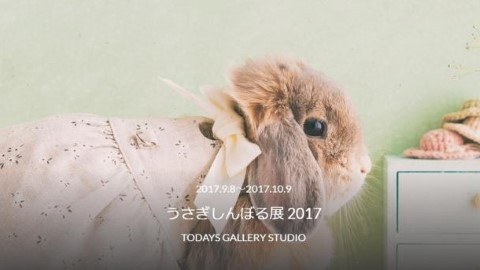 限定一個月 超療癒兔仔攝影展覽