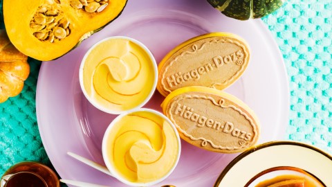 日本 Häagen-Dazs 南瓜布甸雪糕三文治 記者實試初秋限定