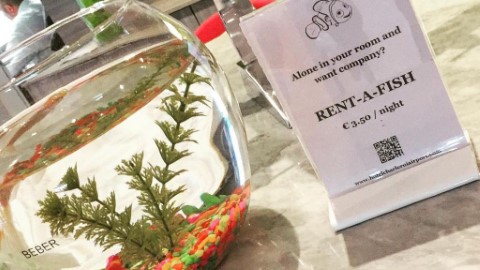 比利時 酒店提供「旅伴」租借服務 為獨遊人士解悶