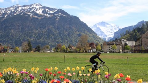 全球 15 個最和平國家　 係咪你嘅夢想國度？