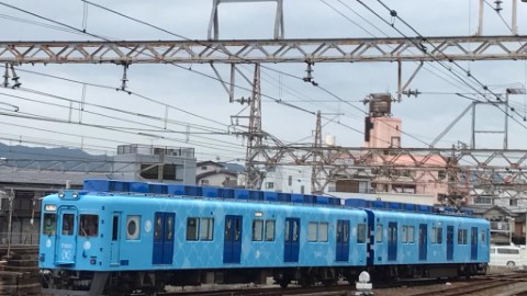 日本鯛魚電車換新裝　新增水藍色小清新風