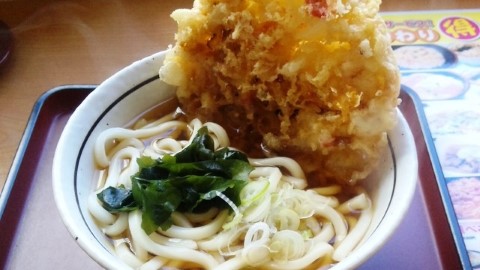 連鎖烏冬四大天王大對決　 電視觀眾投選最愛 Top 10 口味出爐