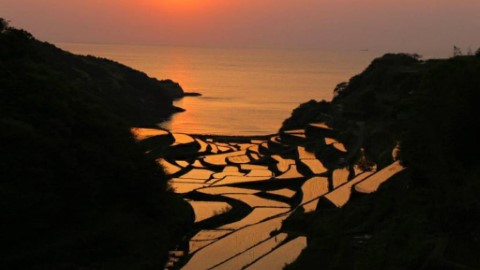 日本「戀人之聖地」賞絕景梯田
