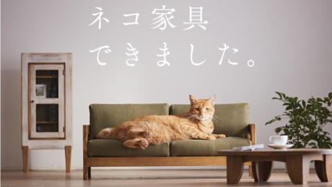 日本 職人打造 超有質感 喵家具